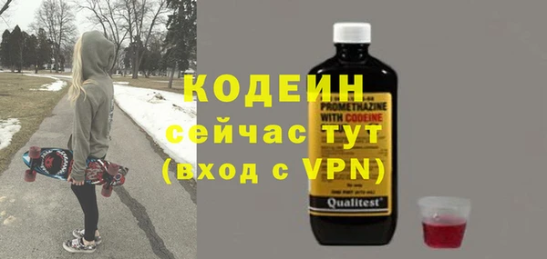 дурь Вяземский