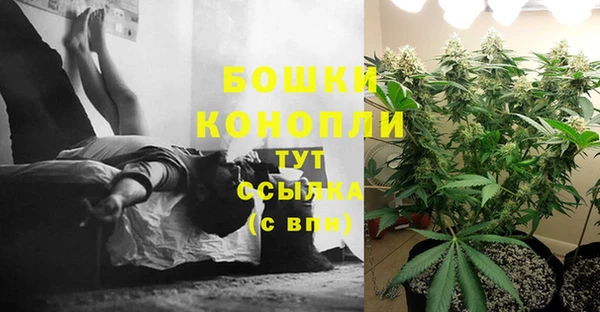 дурь Вяземский