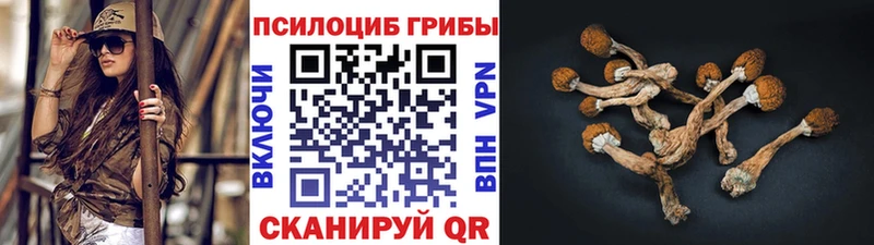 Галлюциногенные грибы Psilocybine cubensis  маркетплейс наркотические препараты  Дальнегорск 