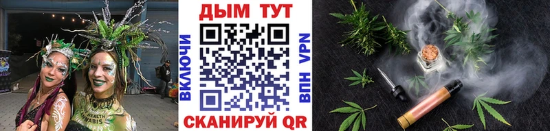 Канабис сатива  Дальнегорск 